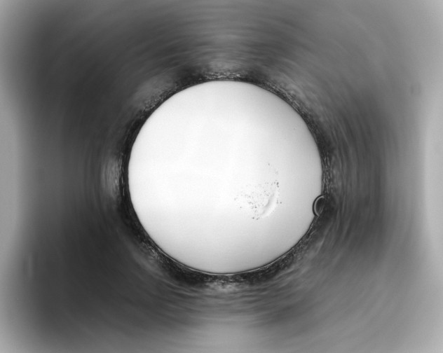 X0000096460742200802141532