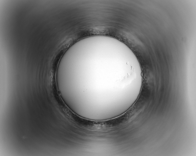 X0000096460744200802141532