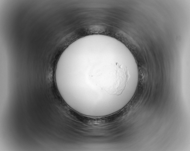 X0000096460745200802141532