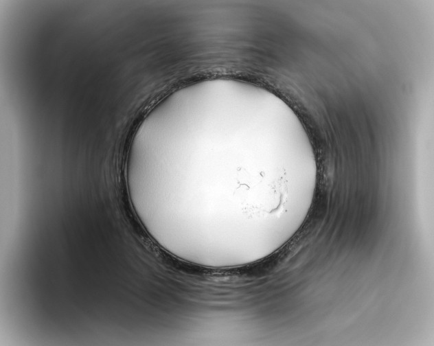 X0000096460746200802141532