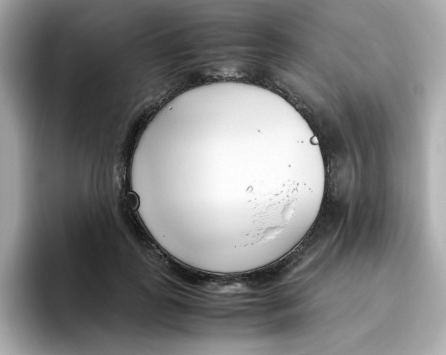X0000096460747200802141532