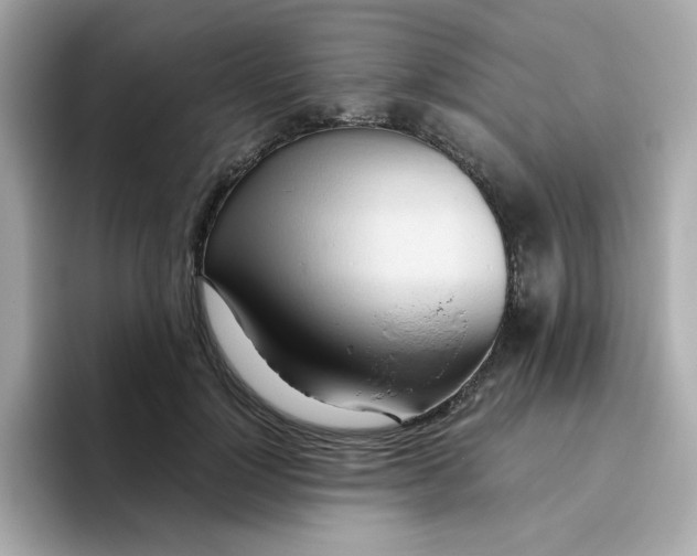 X0000096460748200802141532