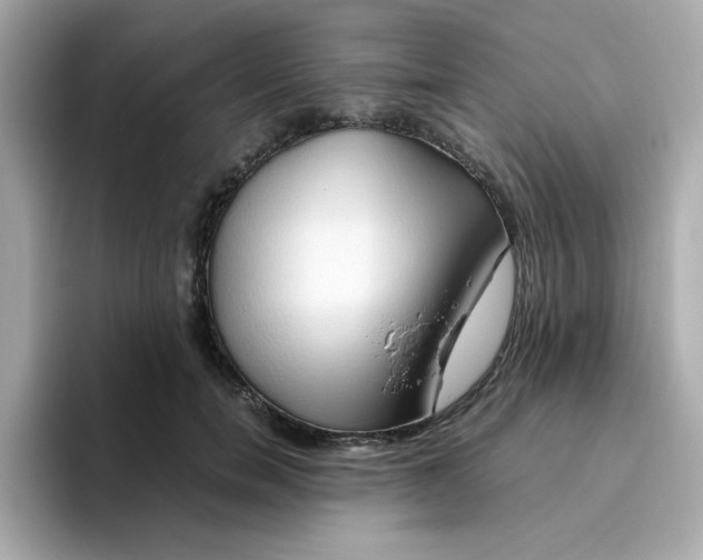 X0000096460750200802141532