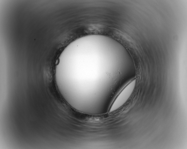 X0000096460751200802141532