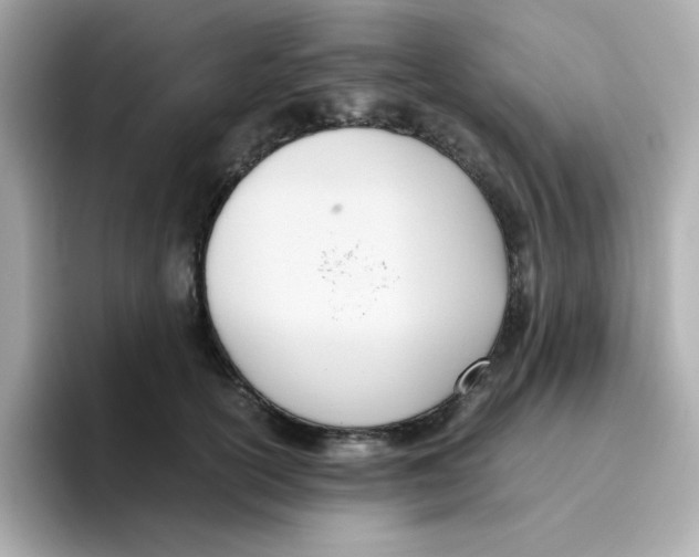 X0000096460754200802141532