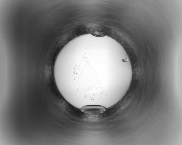 X0000096460756200802141532