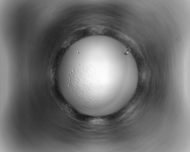X0000096460759200802141532