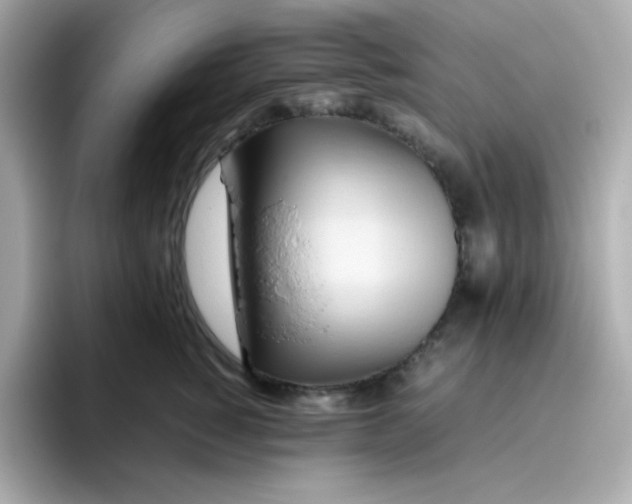 X0000096460760200802141532