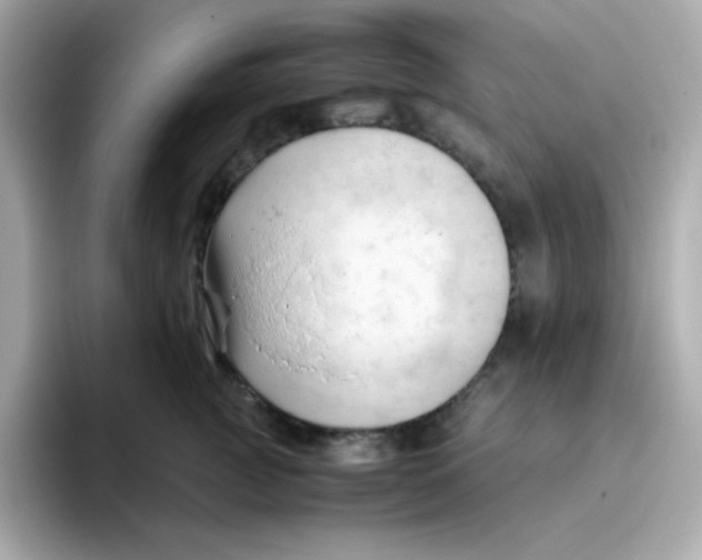 X0000096460761200802141532