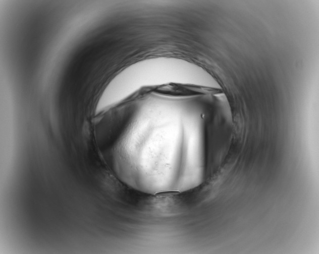 X0000096460762200802141532