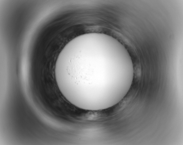 X0000096460764200802141532