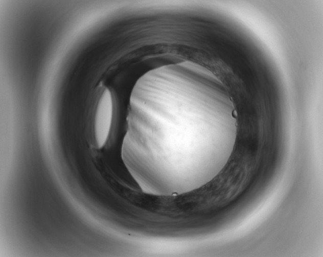 X0000096460766200802141532