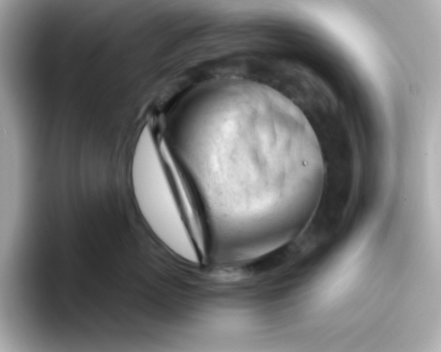 X0000096460767200802141532