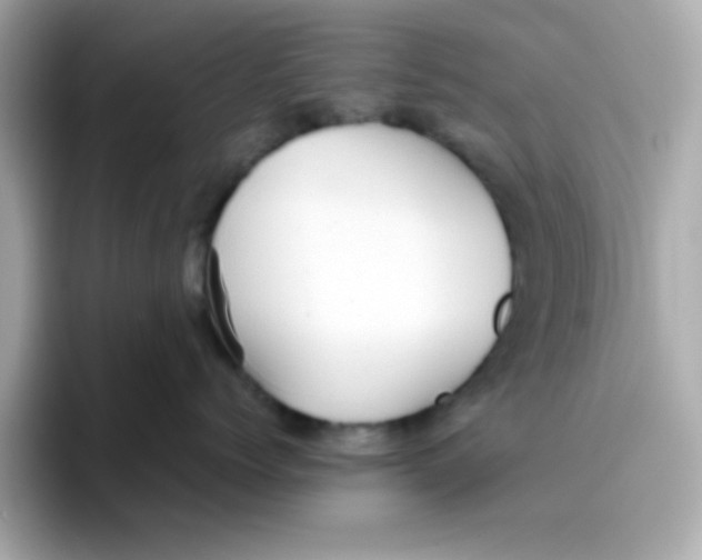 X0000096460768200802141532