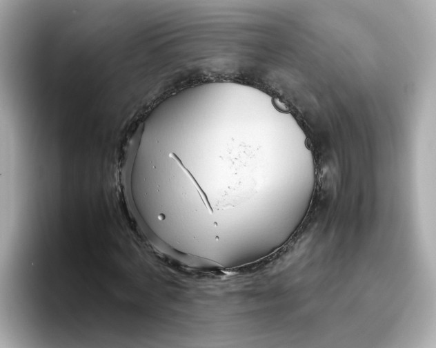X0000096460772200802141531