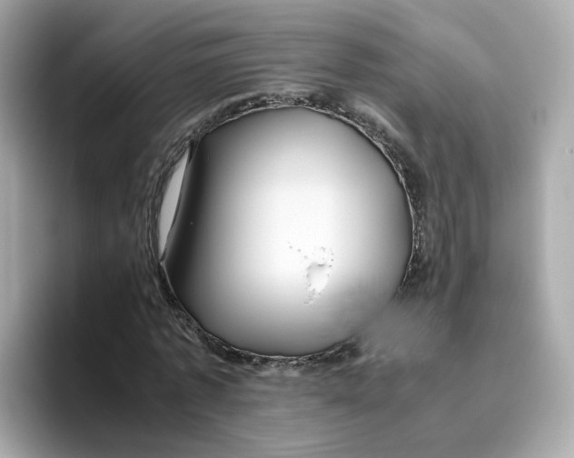 X0000096460773200802141531