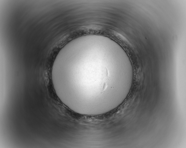X0000096460774200802141531