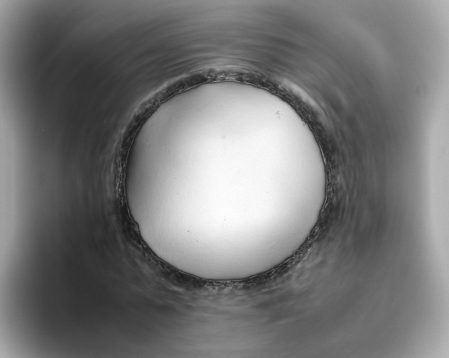 X0000096460775200802141531