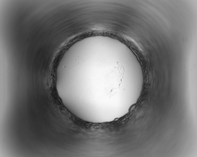X0000096460776200802141531