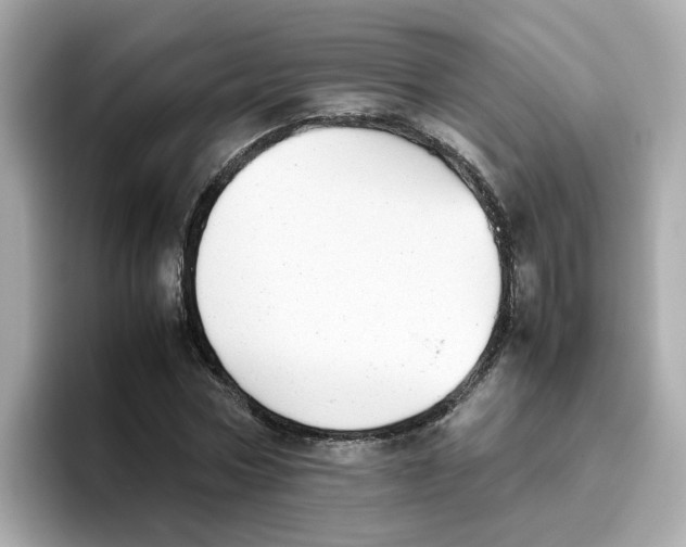 X0000096460778200802141531