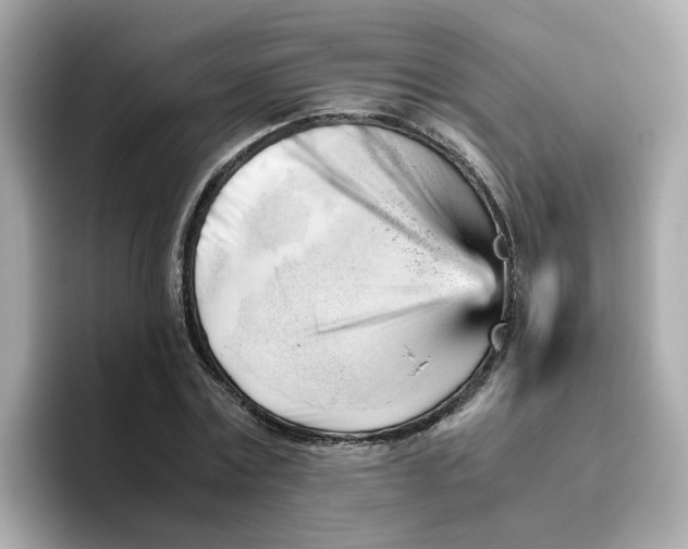X0000096460779200802141531