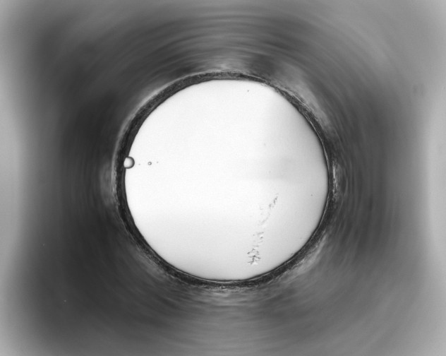X0000096460780200802141531