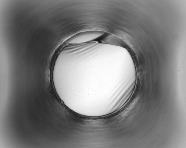 X0000096460781200802141531