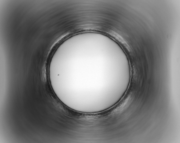 X0000096460782200802141531