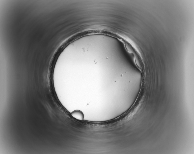 X0000096460783200802141531