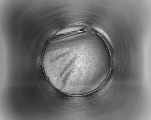 X0000096460785200802141531