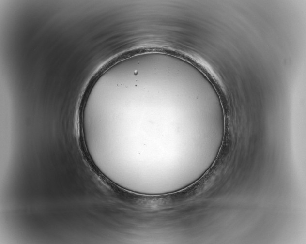 X0000096460791200802141531