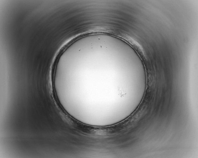 X0000096460792200802141531