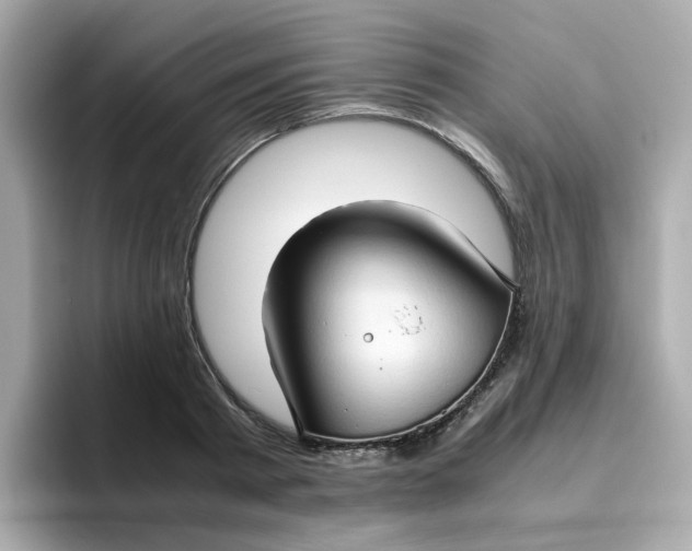 X0000096460793200802141531