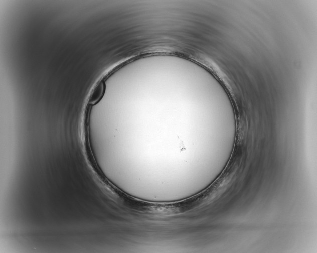 X0000096460795200802141531