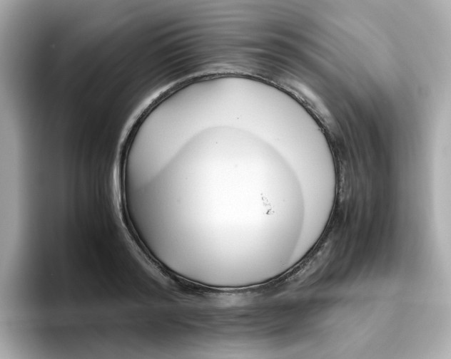 X0000096460796200802141531