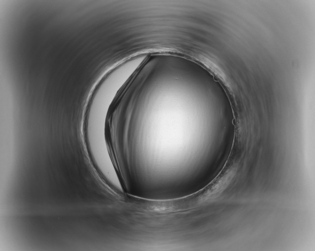 X0000096460797200802141531