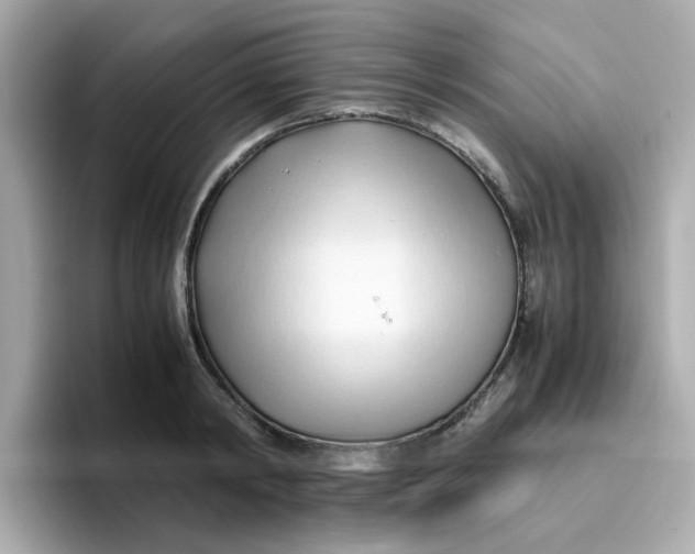 X0000096460798200802141531