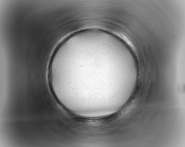 X0000096460799200802141531