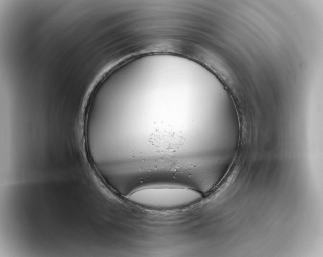 X0000096460800200802141531