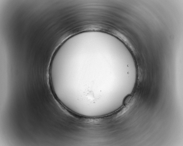 X0000096460802200802141531