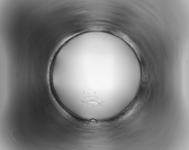 X0000096460803200802141531