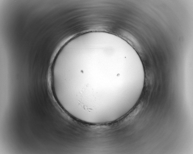 X0000096460804200802141531