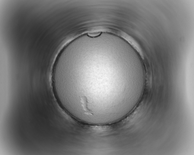 X0000096460805200802141531
