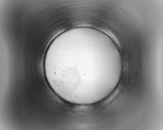 X0000096460806200802141531