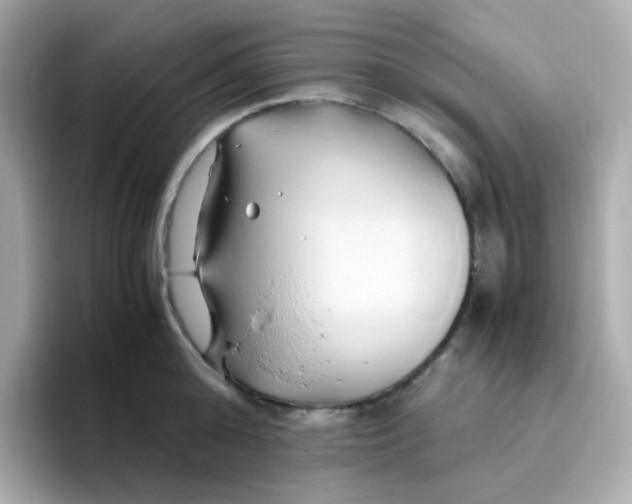 X0000096460808200802141531