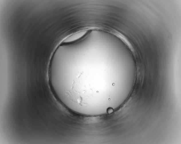 X0000096460810200802141531