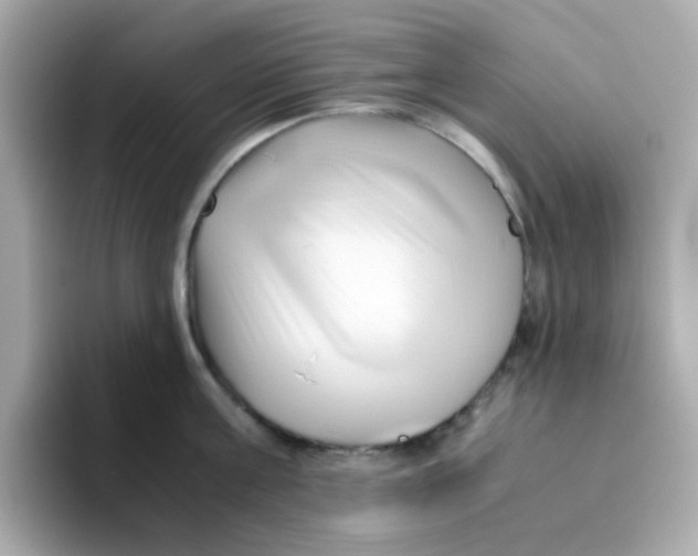X0000096460811200802141531