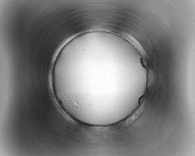 X0000096460812200802141531