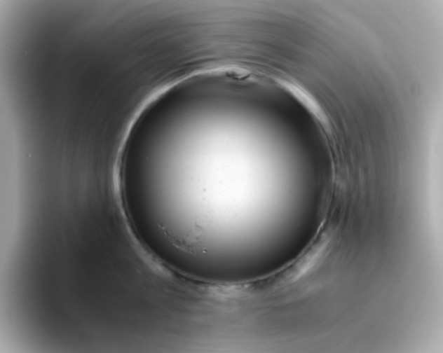 X0000096460813200802141531