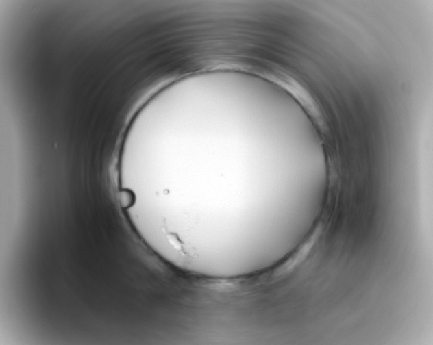 X0000096460814200802141531